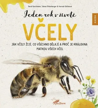 Příroda Jeden rok v životě včely: Jak včely žijí, co všechno dělají a proč je královna - Gerstmeier David, Miltenberger Tobias, Götteová Hannah