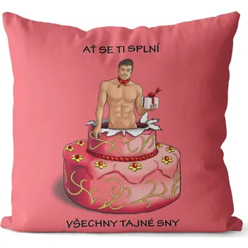 Dekorativní polštářek Polštářek Tajné sny – muž (Velikost: 40 x 40 cm)