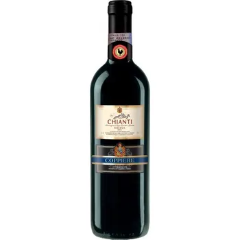 Víno Ostatní Coppiere Chianti Classico Riserva DOCG 0,75l