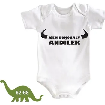 Kojenecký body Kojenecké body Jsem dokonalý andílek - 62-68