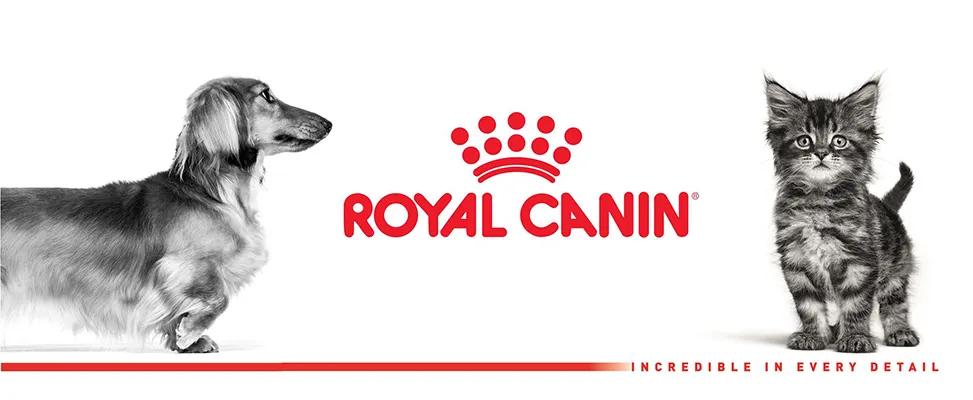 složení Royal Canin Mini Adult