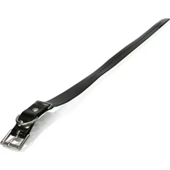 tréninková pomůcka pro psa Obojek Dogtra 2,5 cm - oranžová - 76 cm