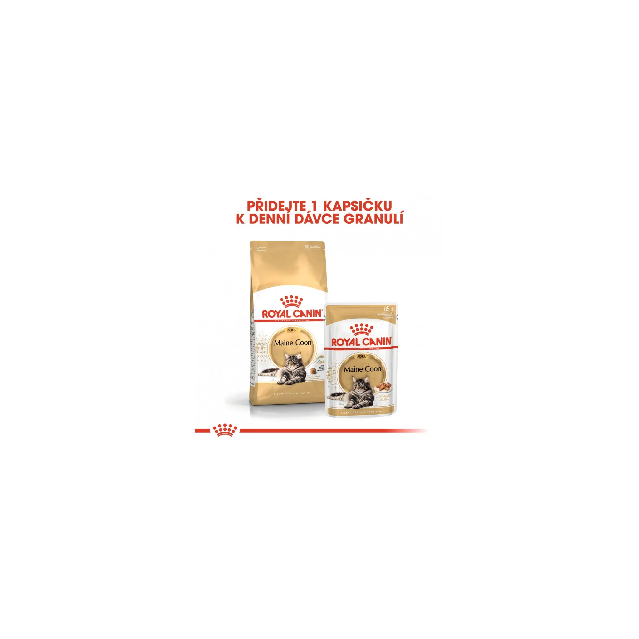 Fotografie 3 - Krmivo pro kočku Royal Canin Maine Coon Adult granule 10 kg