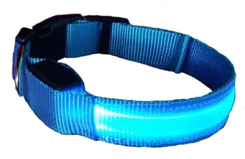 Obojek pro psa Reedog svítící obojek modrý 18-28 cm