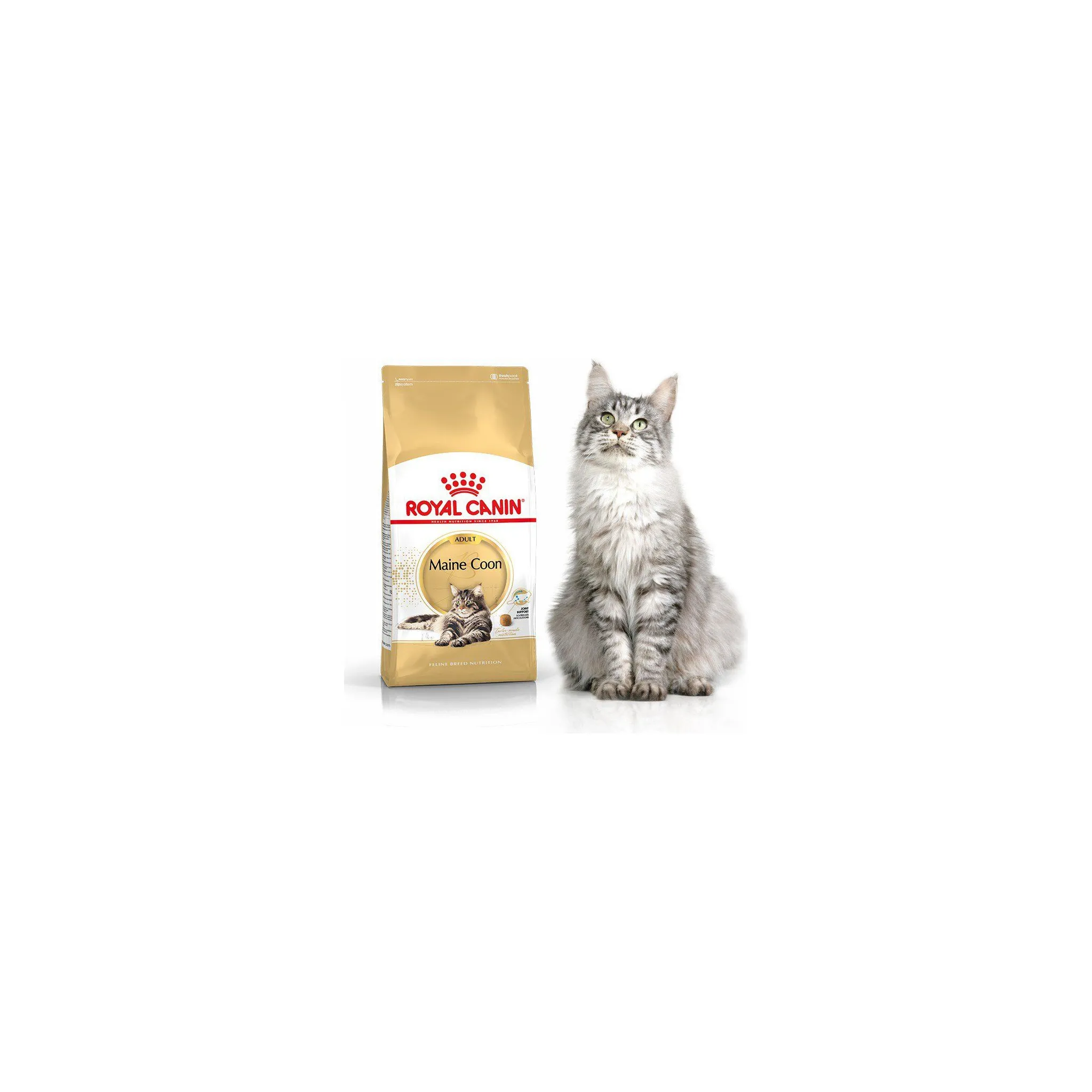 Fotografie 4 - Krmivo pro kočku Royal Canin Maine Coon Adult granule 10 kg