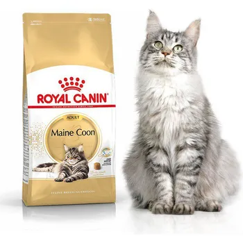 granule Royal Canin Maine Coon