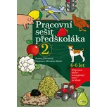 Pracovní sešit předškoláka 2 - Ivana…