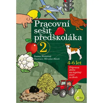 Předškolní výuka Pracovní sešit předškoláka 2 - Ivana Novotná (2019, sešitová)