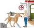 domeček pro figurky Schleich 42502 Veterinární ordinace pro domácí zvířata