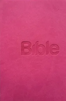 Bible 21 - Alexandr Flek (2019, brožovaná bez přebalu lesklá)