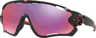 Oakley OO9290-2031