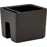 Plastia Berberis 30 cm