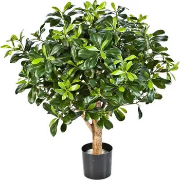 umělá květina Umělý Pittiosporum keř deluxe, 65cm