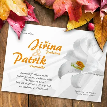 Pozvánka Svatební oznámení č. 138