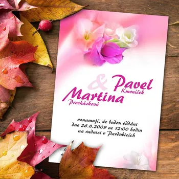 Pozvánka Svatební oznámení č. 194