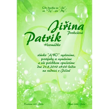 Pozvánka Svatební oznámení č. 224