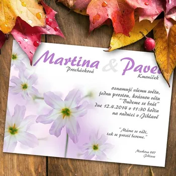 Pozvánka Svatební oznámení č. 391