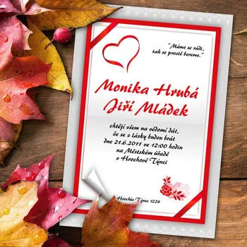Pozvánka Svatební oznámení č. 240