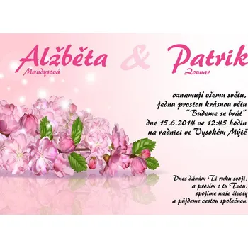 Pozvánka Svatební oznámení č. 371