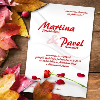 Pozvánka Svatební oznámení č. 226