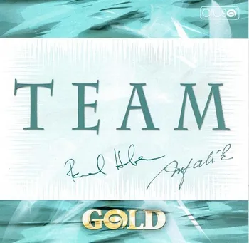 Česká hudba Gold - Team [CD]