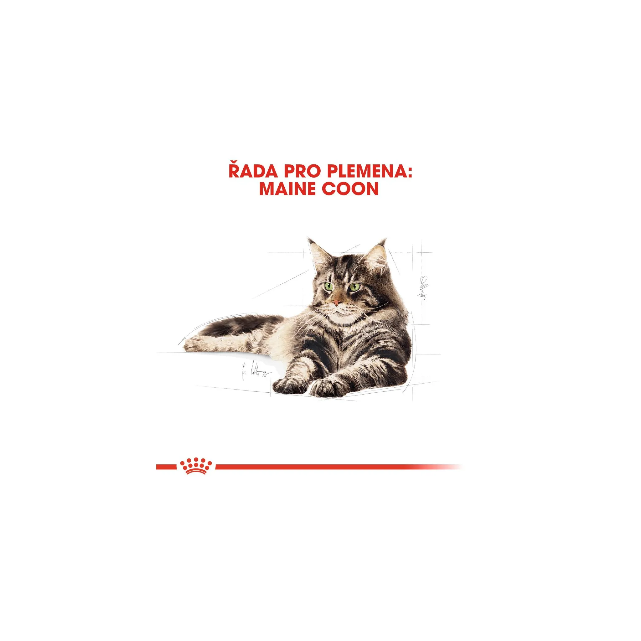Fotografie 7 - Krmivo pro kočku Royal Canin Maine Coon Adult granule 10 kg