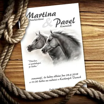 Pozvánka Svatební oznámení č. 461