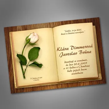 Pozvánka Svatební oznámení č. 220