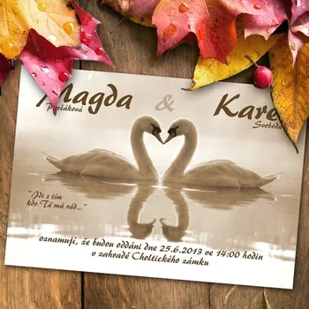 Pozvánka Svatební oznámení č. 337