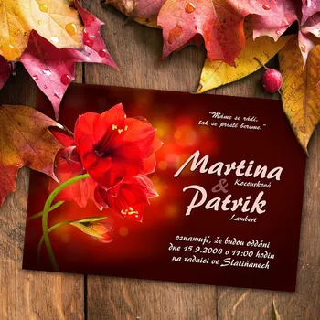 Pozvánka Svatební oznámení č. 369