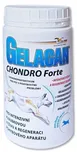 Orling Gelacan Chondro Forte 500 g