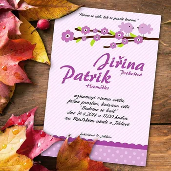 Pozvánka Svatební oznámení č. 385