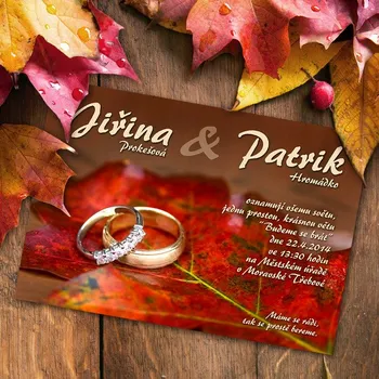 Pozvánka Svatební oznámení č. 341