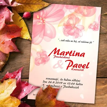 Pozvánka Svatební oznámení č. 310