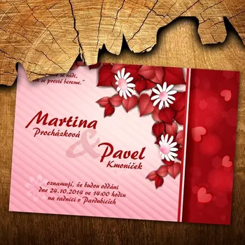 Pozvánka Svatební oznámení č. 377