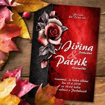 Pozvánka Svatební oznámení č. 381