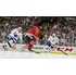 Hra pro PlayStation 4 NHL 19 PS4