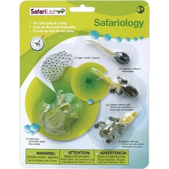 Figurka Safari Ltd. Životní cyklus žába