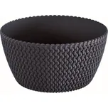 Prosperplast Splofy Low 23,6 cm