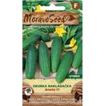 MoravoSeed Okurka nakládačka Amelia F1…