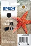 Originální Epson C13T03A14010