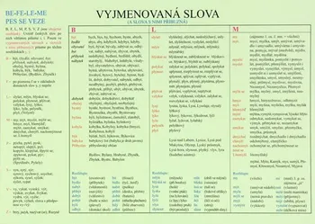 Český jazyk Tabulka vyjmenovaných slov a slova s nimi příbuzná - Albra (1999, polotuhá)