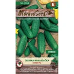 Moravo Seed Karen F1 Okurka nakládačka…