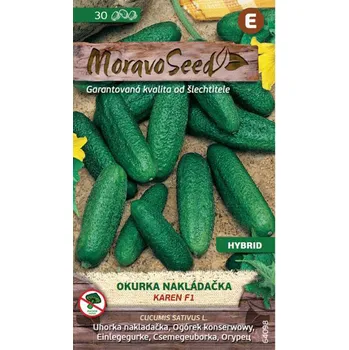 Semeno Moravo Seed Karen F1 Okurka nakládačka jemnoostná 30 ks