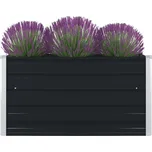 vidaXL Vyvýšený zahradní záhon 100 cm