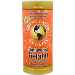 Great Lakes Želatina 454 g