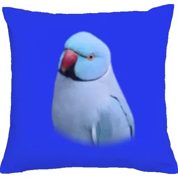 Pánské tričko Polštář bavlněný s potiskem Alexandr malý