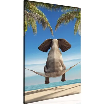 Obraz Malvis Obraz vtipný slon Velikost (šířka x výška): 50x70 cm