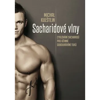 Recenze Sacharidové vlny - Michal Kulštejn (2015, brožovaná)