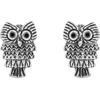 Šperk Vorlové Šperky, Stříbrné náušnice sovy, N122